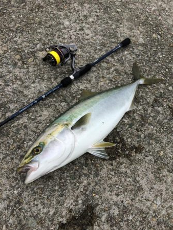 ブルーカレント3