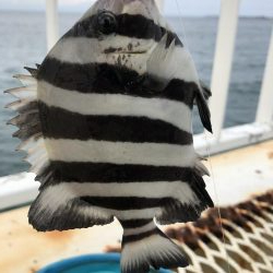 旅行帰りに1時間