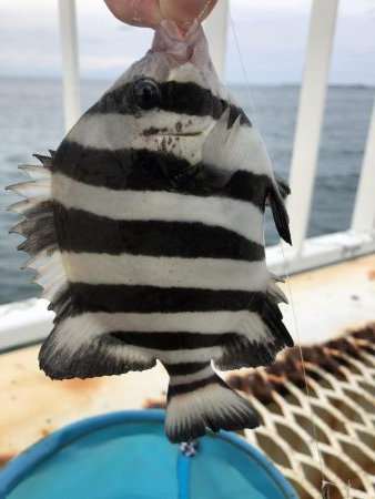 旅行帰りに1時間