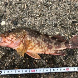 一ヶ月ぶりの釣り