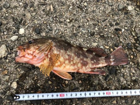 一ヶ月ぶりの釣り