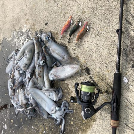 2020 佐渡ヶ島エギング 12回目