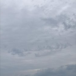 本日も本命無し!