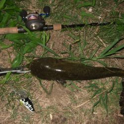 いよいよシーズン終盤の良い時期に