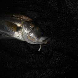 ソリッドクリアであっさりとヒット。