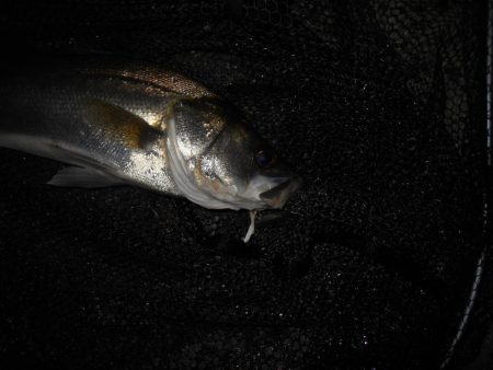 ソリッドクリアであっさりとヒット。