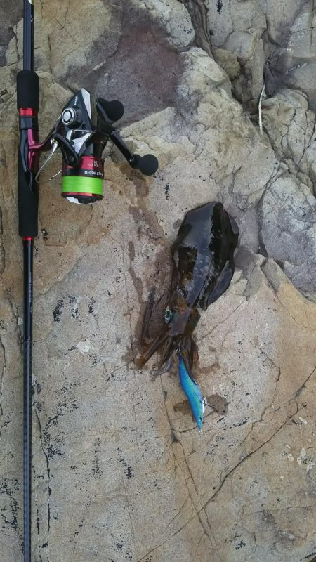 小場所の様子見