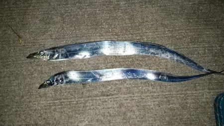 今週はもっと渋かった