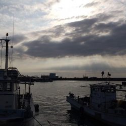 ファミリーフィッシング