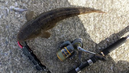 雨上がりの晴れ間に