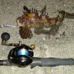 ショアジギ、シーバス、エギング