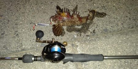 ショアジギ、シーバス、エギング
