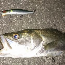 3バイト1キャッチ