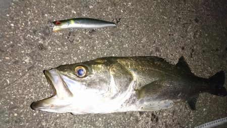 ３バイト１キャッチ