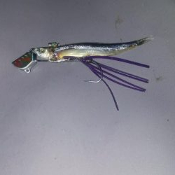 ガシラ3  小サバ2