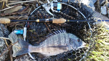 荒天の合間の濁りの中