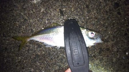 少しサイズアップ？