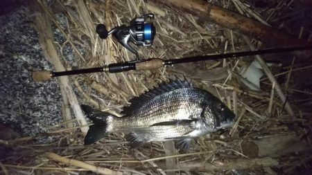 繊細なチニング