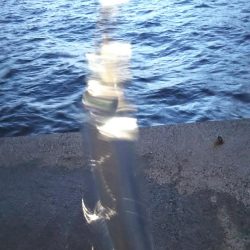 当たりは多いねんけどなぁ