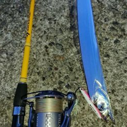 タチウオちょっと渋いです