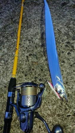 タチウオちょっと渋いです