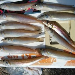 海水の汚れが気になります