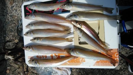 海水の汚れが気になります