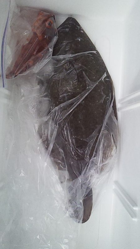 座布団まであと一歩