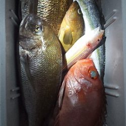 クーラーの中はカラフル