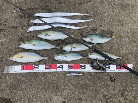 ショアジギング