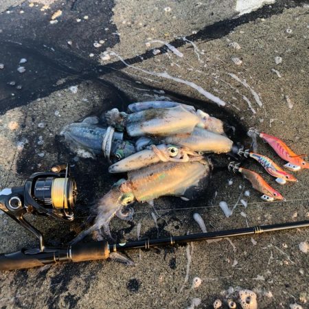 2020 佐渡ヶ島エギング 15回目