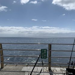 ショアジギング