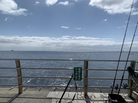 ショアジギング