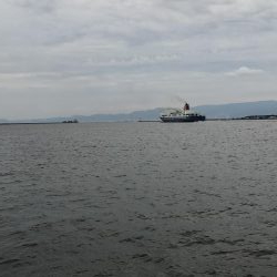 ジクサビキとアジで呑ませ