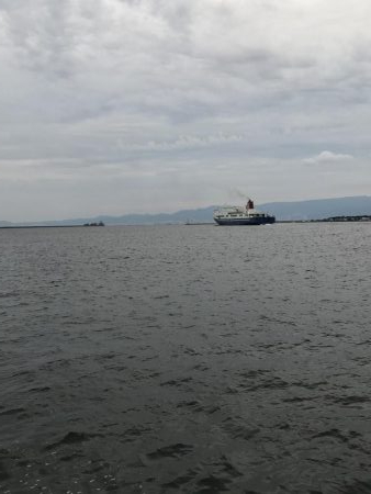 ジクサビキとアジで呑ませ