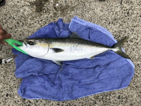 100均ジグの奇跡