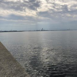 青物祭りちゃうの？