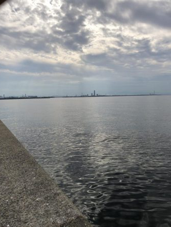 青物祭りちゃうの？