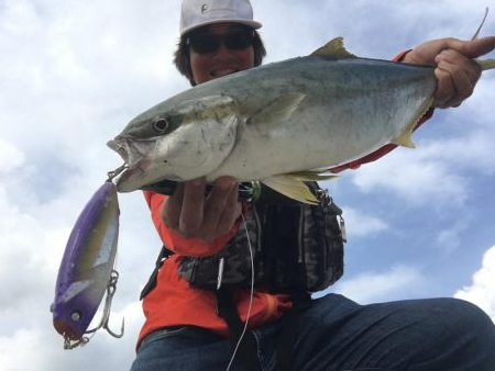 ヒラゴのライドオン！