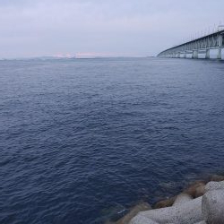 ワインドのちアジング