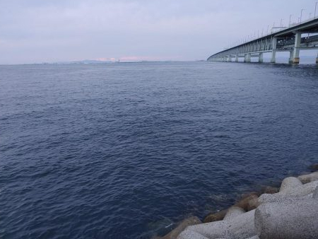 ワインドのちアジング