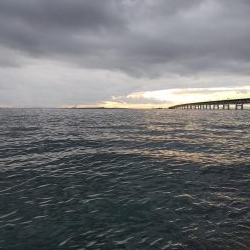 アジング自己最多