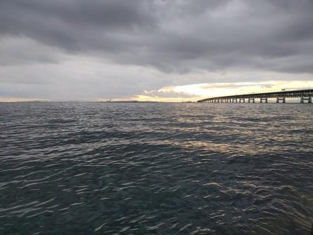 アジング自己最多