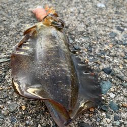 早く大きくな～れ！