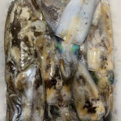 過去最高の・・・