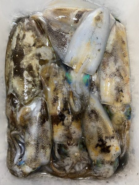 過去最高の・・・