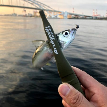 早朝サバングin大阪舞洲11