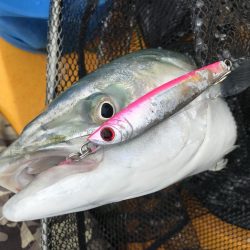 エソアタック！