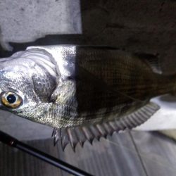 アシストフックを試してみた