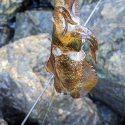 少し成長したかな